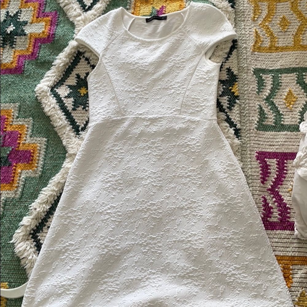 Zara Dress !🌹